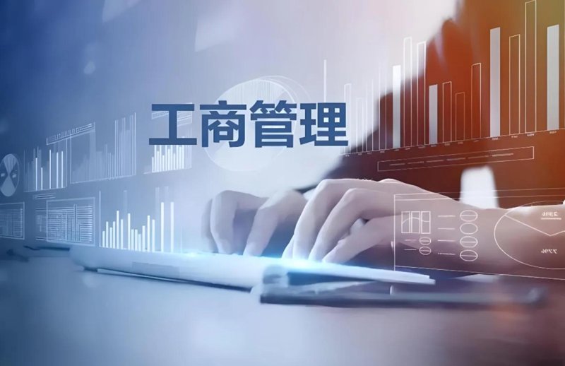 访谈记录:深度剖析望唐集团核心业务